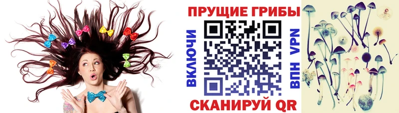 Галлюциногенные грибы Magic Shrooms дарнет шоп Благовещенск