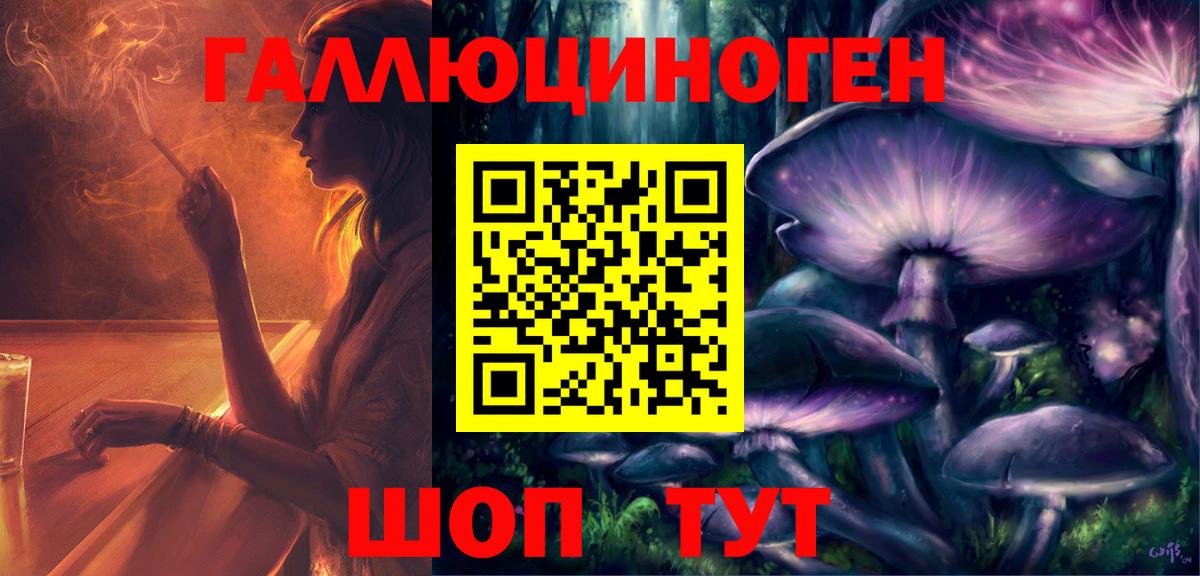Псилоцибиновые грибы Psilocybine cubensis  Вход с VPN  Благовещенск 