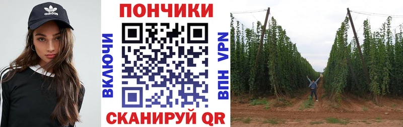 где найти наркотики Благовещенск Шишки марихуана конопля